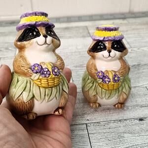 Vintage Otagiri Anthropomorphic Racoon Ceramic Salt Pepper Shakers Mary A. Baker